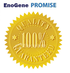 AbPromise
